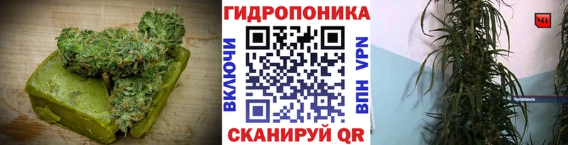 Canna-Cookies марихуана сайты даркнета Telegram Гусь-Хрустальный как найти наркотики