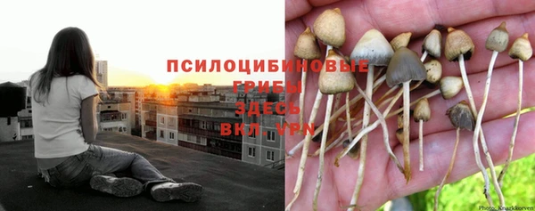 ешки Володарск