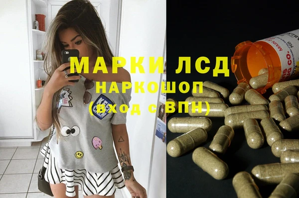 ГАЛЛЮЦИНОГЕННЫЕ ГРИБЫ Волосово