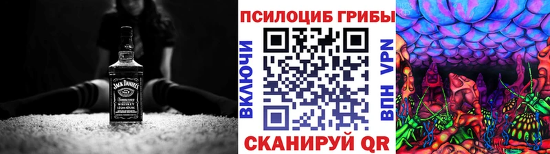 где найти Гусь-Хрустальный Галлюциногенные грибы Magic Shrooms