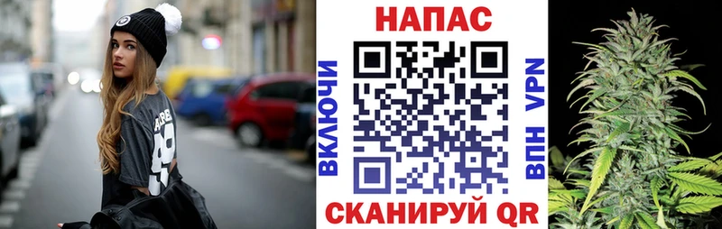 Шишки марихуана сатива  купить наркоту  Гусь-Хрустальный 